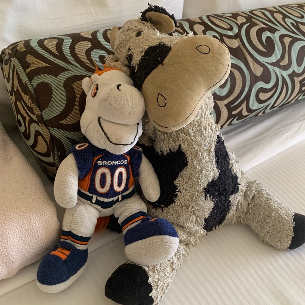 Meet your Posher, Shelley